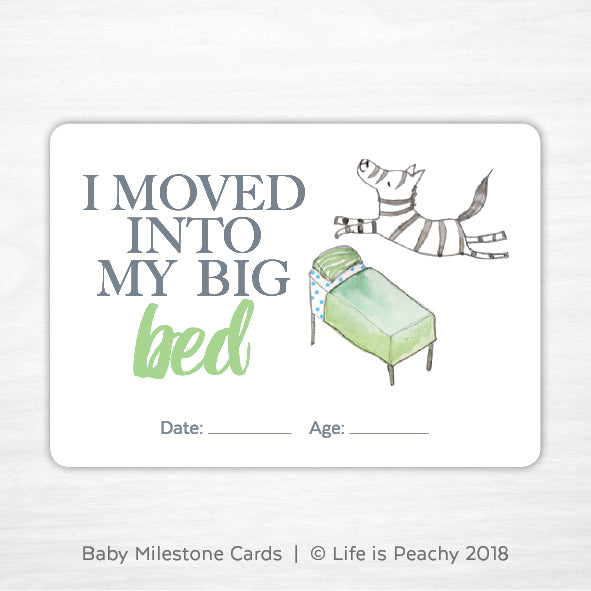 Toddler Milestone Cards